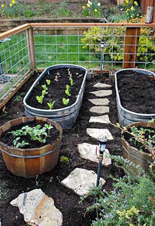 Planting in the wood/metal troughs