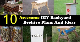 10 Awesome DIY Backyard Beehive Plans And Ideas
