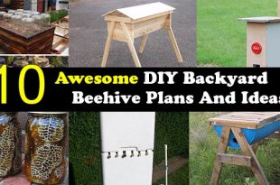 10 Awesome DIY Backyard Beehive Plans And Ideas