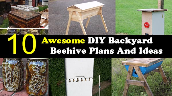 10 Awesome DIY Backyard Beehive Plans And Ideas