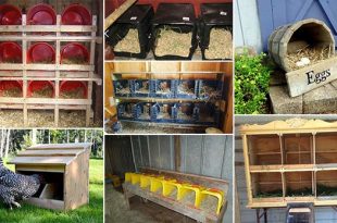 20 Do It Yourself Nesting Box Ideas