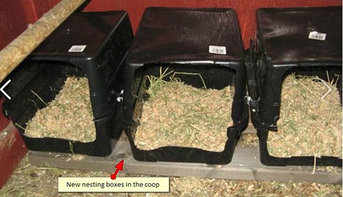 20 Do It Yourself Nesting Box Ideas - Home and Gardening Ideas