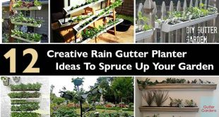 Creative Rain Gutter Planter Ideas To Spruce Up Your Garden