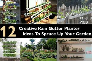 Creative Rain Gutter Planter Ideas To Spruce Up Your Garden