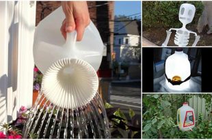 15 Creative Ways to Reuse and Upcycle Milk Jugs