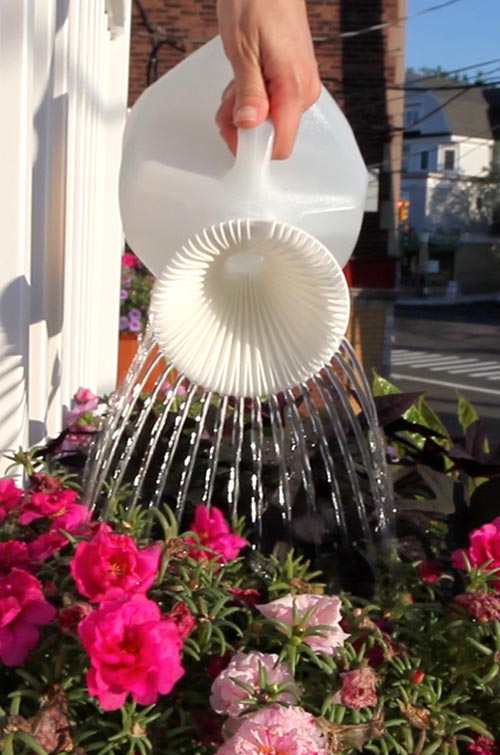 15 Creative Ways to Reuse and Upcycle Milk Jugs - Home and Gardening Ideas