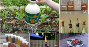 22 Clever Ways To Repurpose Empty Food And Drink Containers