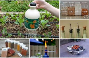 22 Clever Ways To Repurpose Empty Food And Drink Containers