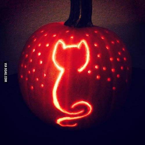 cat-pumpkin-halloweenpumpkin-holiday-and-event-diy-project-ideas-and