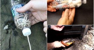 16 Plastic Bottle Hacks for Survival