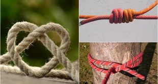 Five Useful Knots For Camping, Survival, Hiking, And More