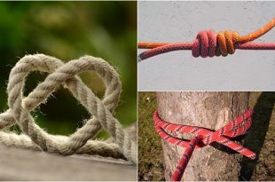 Five Useful Knots For Camping, Survival, Hiking, And More