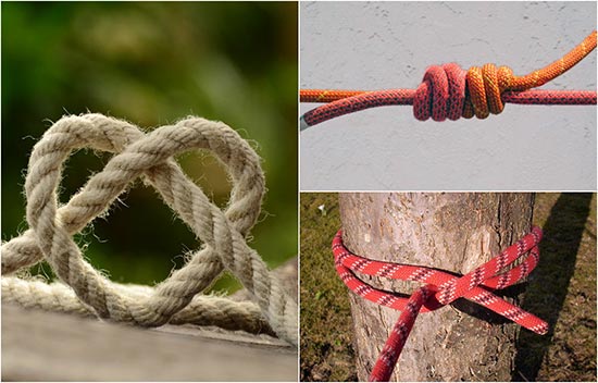  Five Useful Knots For Camping, Survival, Hiking, And More