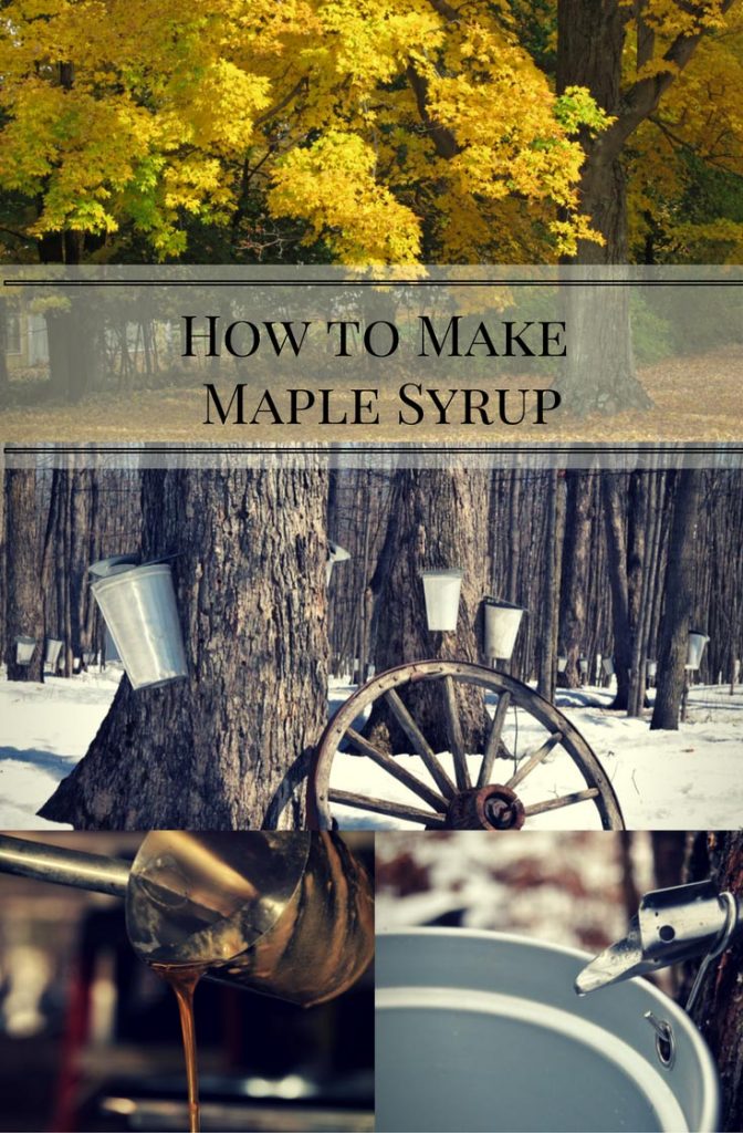 How to Make Maple Syrup