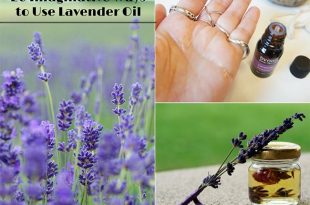 20 Imaginative Ways to Use Lavender Oil