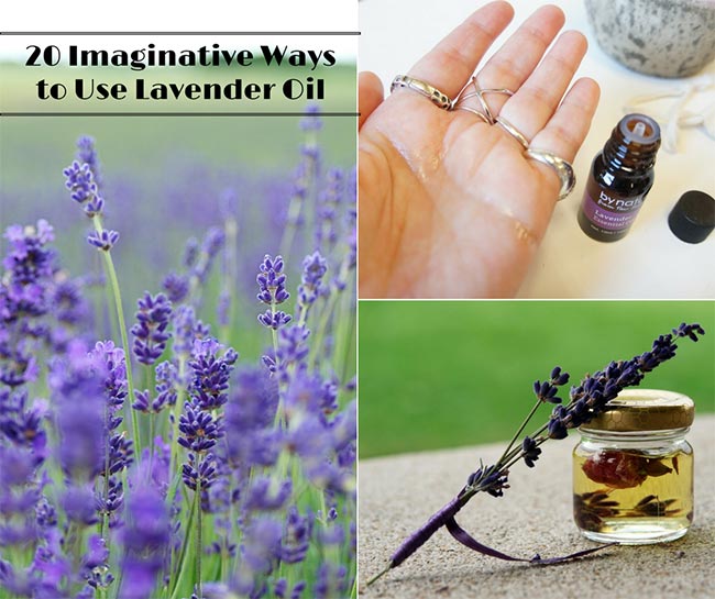 20 Imaginative Ways to Use Lavender Oil