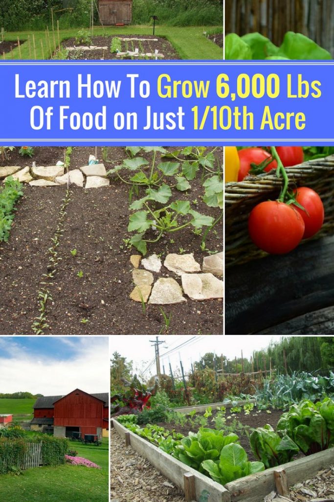 Learn How This Family Grows 6,000 Lbs Of Food on Just 1/10th Acre