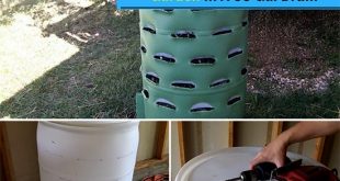 How To Make A Vertical Veggie Garden In A 55 Gal Drum
