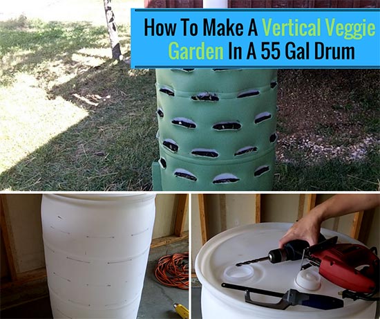 How To Make A Vertical Veggie Garden In A 55 Gal Drum