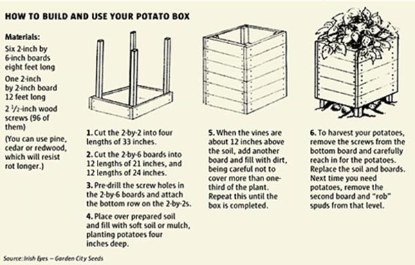 potato box materials, directions and pictures for you to reference at your discretion