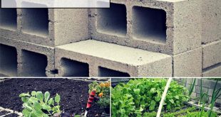 How To Build a Raised Garden Bed Out Of Cinder Blocks