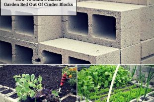 How To Build a Raised Garden Bed Out Of Cinder Blocks