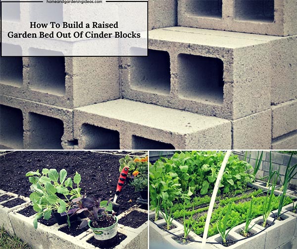 How To Build a Raised Garden Bed Out Of Cinder Blocks