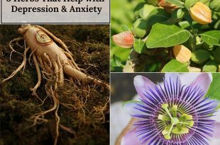 8 Herbs That Help with Depression & Anxiety