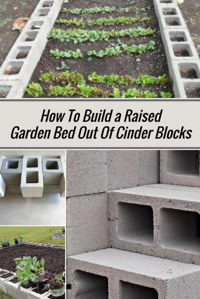 How To Build a Raised Garden Bed Out Of Cinder Blocks