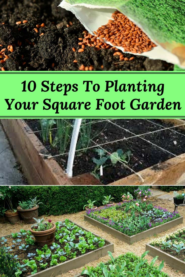 10 Steps to Planting Your Square Foot Garden - Home and Gardening Ideas