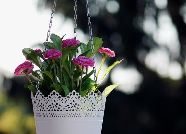 Hanging Baskets With Chain