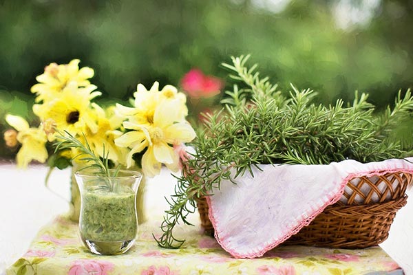 Herbs