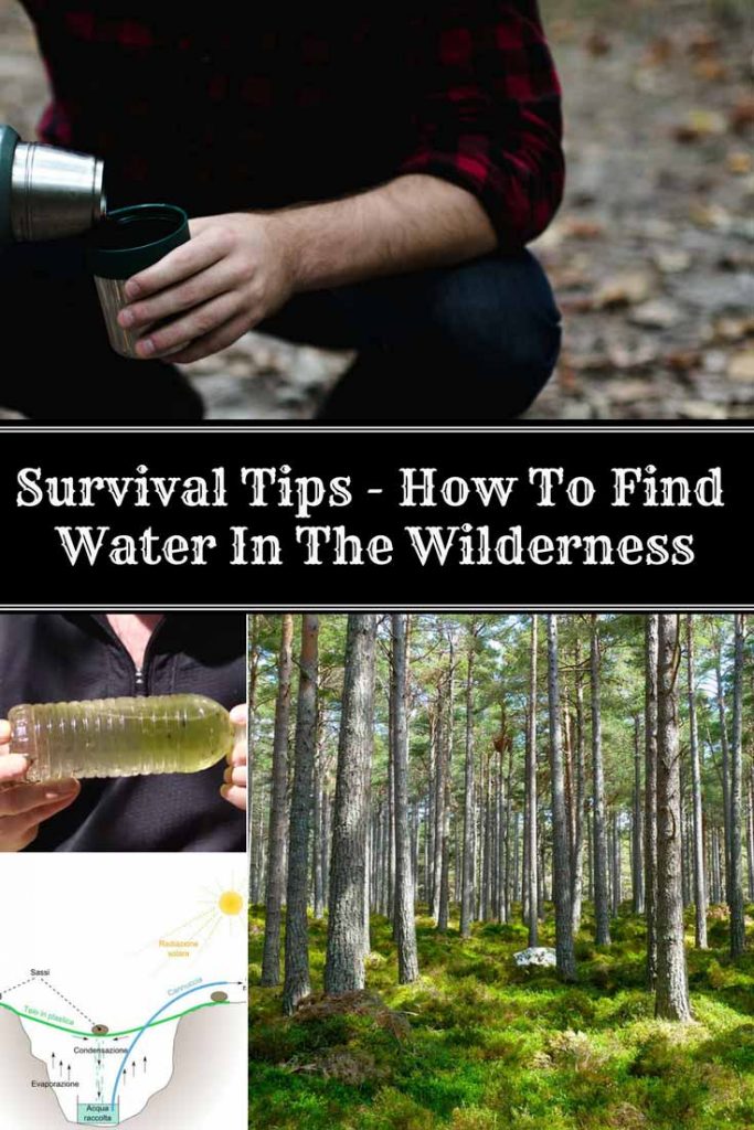 How To Find Water In The Wilderness