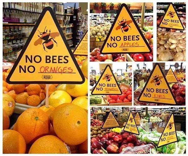 Life with out Bees