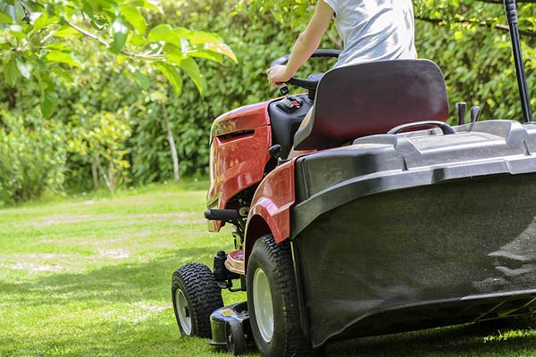 Regularly mow your lawn