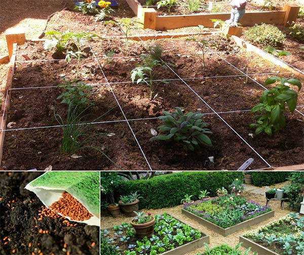 10 Steps to Planting Your Square Foot Garden