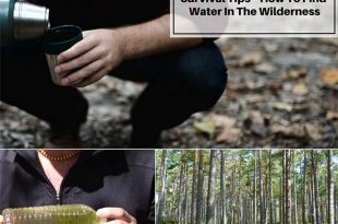 Survival Tips - How To Find Water In The Wilderness