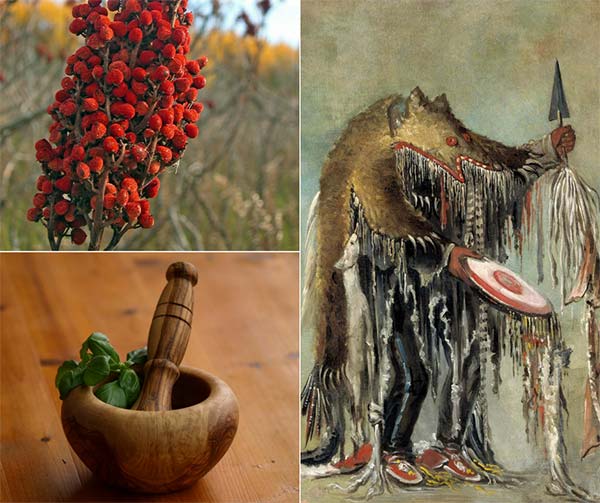 Traditional Cherokee Medicinal Plants