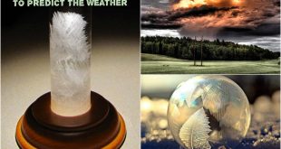 How To Make A Storm Glass To Predict The Weather