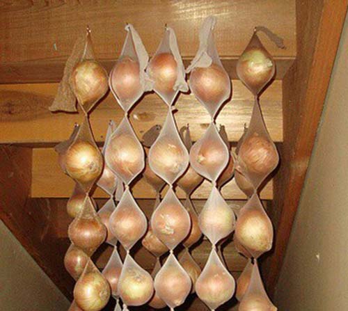 Store Onions in Pantyhose