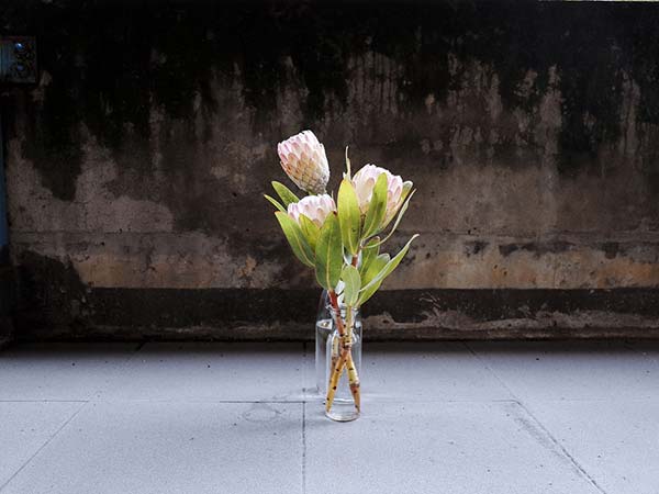 Keep Fresh Flowers Alive