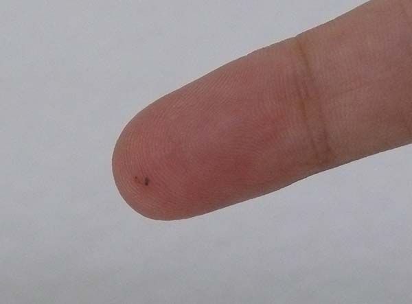 Small Cuts and Splinters