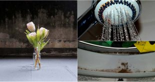 White Vinegar Is A Great Cleaner