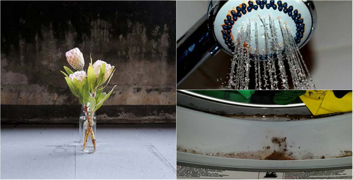 White Vinegar Is A Great Cleaner