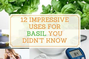 12 Impressive Uses for Basil You Didnt Know