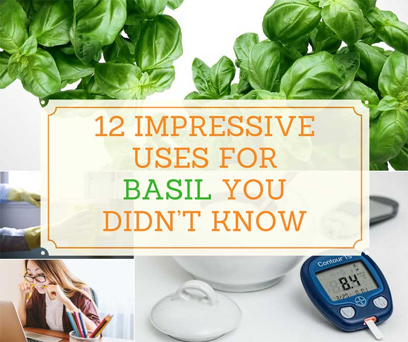 12 Impressive Uses for Basil You Didnt Know
