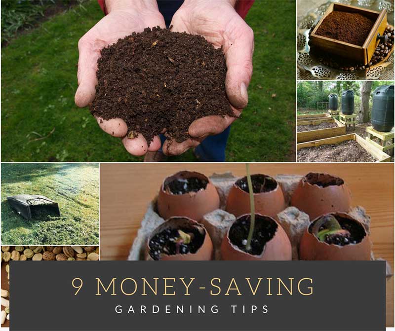 9 Money-Saving-Gardening-Tips