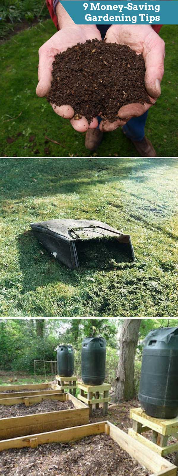9 Money-Saving Gardening Tips