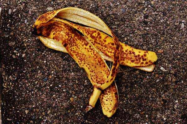 Banana Peels