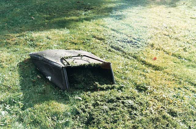 Grass Clippings